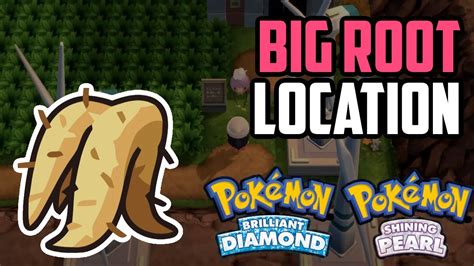 pokemon big root.